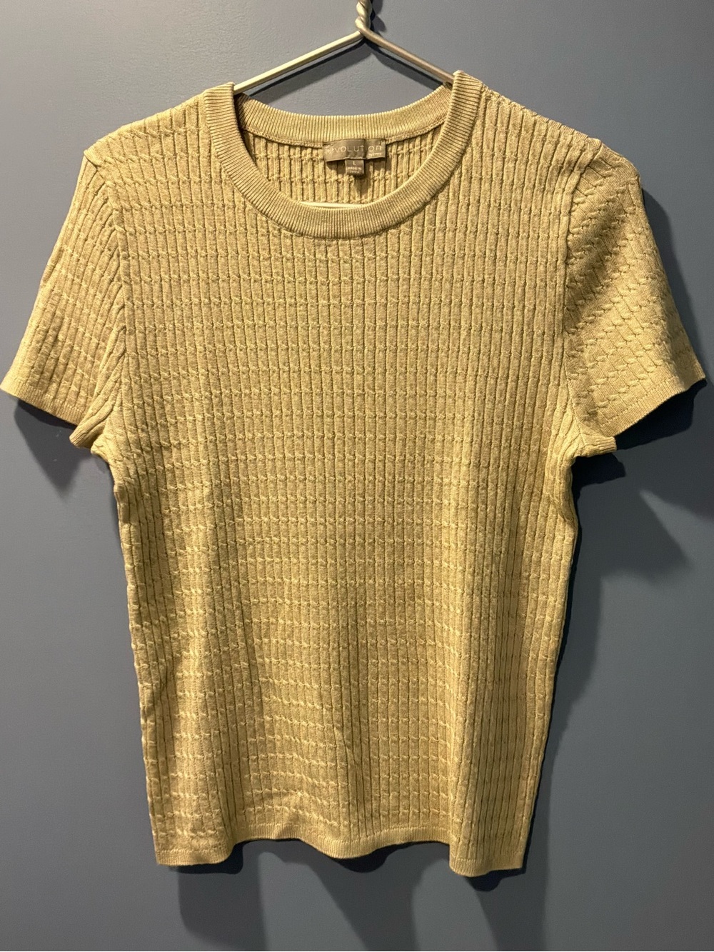 EVOLUTION BY CYRUS shirt-sleeve summer sweater